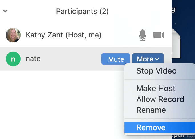 Kick out users on Zoom