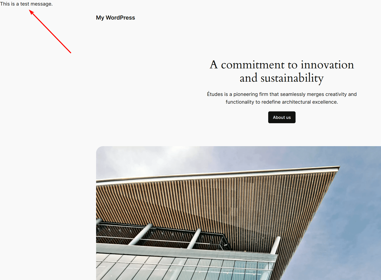Example of a PHP error appearing on the homepage of a WordPress website. 